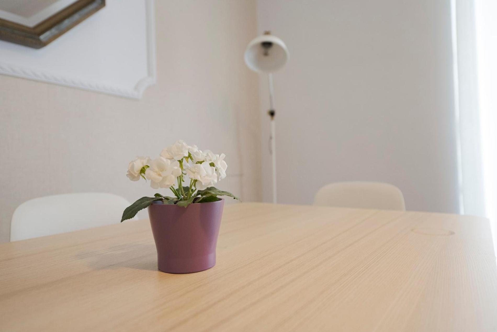 Apartamento Victoria En El Centro De 산세바스티안 외부 사진